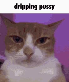 dripping pussy gif|Dripping Wet Pussy Porn Gif 